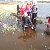 Vettvangsferðir hjá 2.-3. bekk