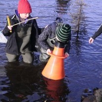 Rannsókn með botnsjá