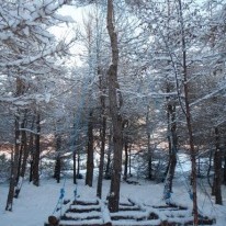 Svokölluð þeytivinda