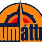 Eineltisáætlun - hvað svo