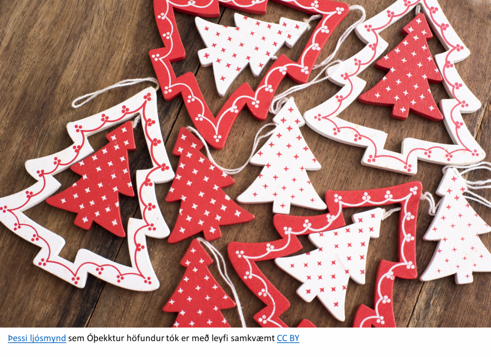 Við óskum nemendum og foreldrum þeirra okkar bestu jóla - og nýárskveðjur.
Skólastarf hefst að ný þ…