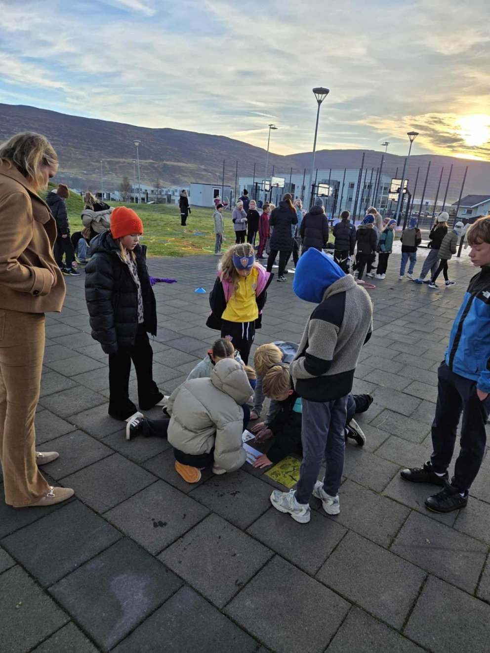 Þemadagar í Naustaskóla