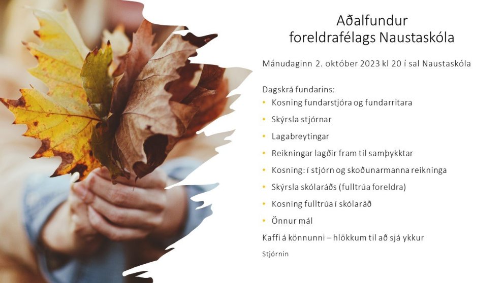 Aðalfundur foreldrafélags Naustaskóla mánudaginn 2. október