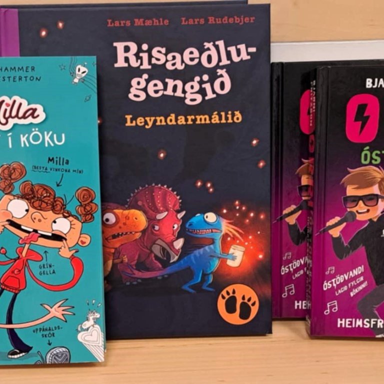 Gjöf á bókasafnið