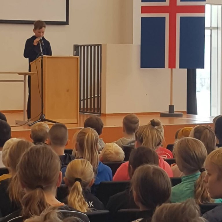 Kosning í nemendaráð