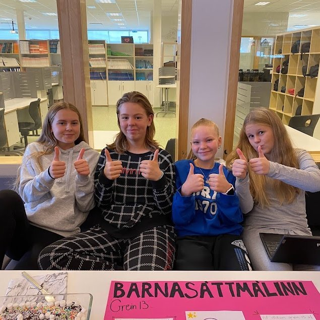 Verkefni tengt Barnasáttmála sameinuðu þjóðanna